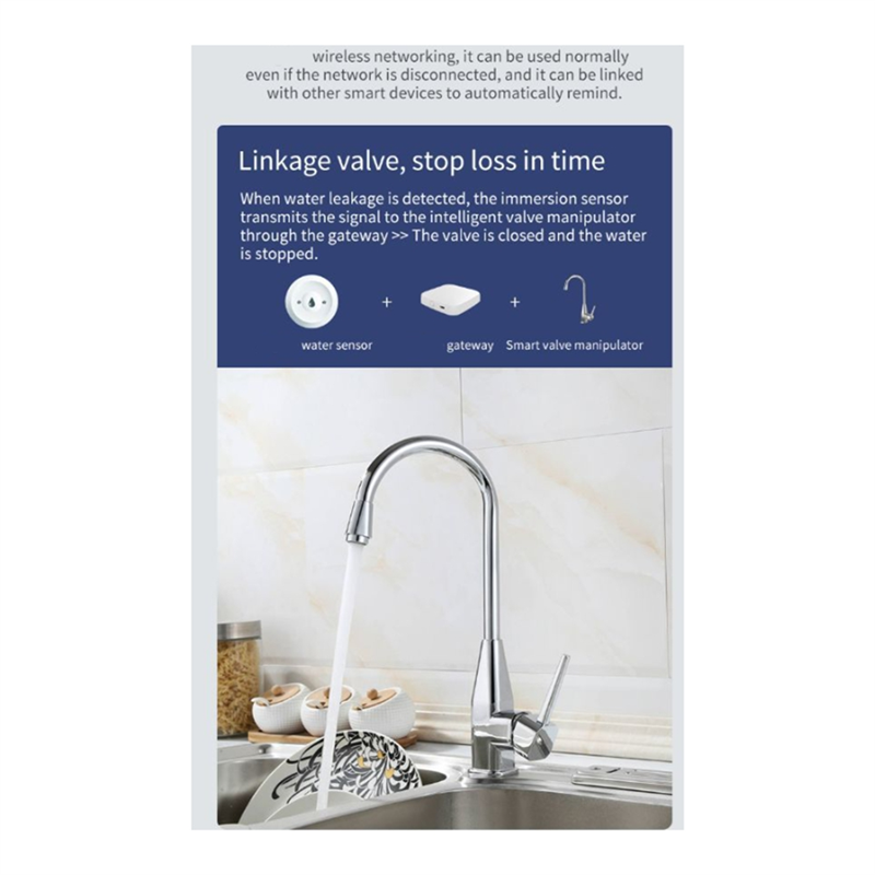 Zigbee Gateway - Zigbee TUYA Slimme waterlekdetector Overstromingssensor Bewaking