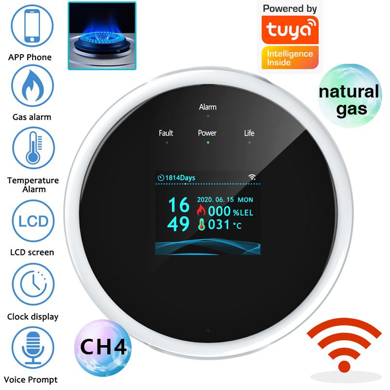 Smart Home Wiz - 2.4G WiFi Gasalarmsensor Brandbaar gasdetector Werkt