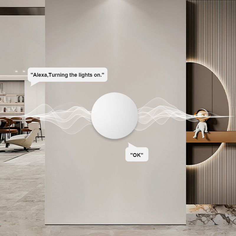 ZigBee Smart Wireless Button S - Smart Home Features recensie en prijs