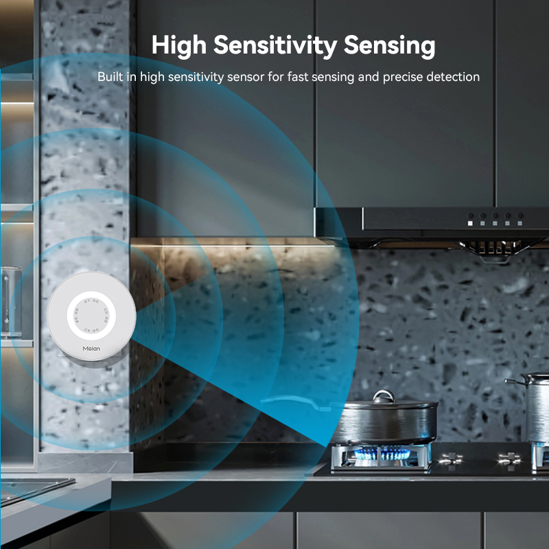 Mian Zigbee Gasdetector Tuya W - Smart Home Wiz recensie en prijs