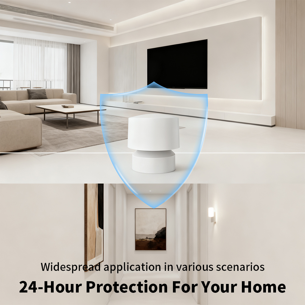 Zigbee of WiFi slimme aanwezig - Smart Home Wiz recensie en prijs