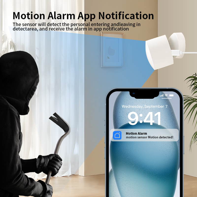 Zigbee of Wi-Fi-sensor voor me - Smart Home Monitoring recensie en prijs