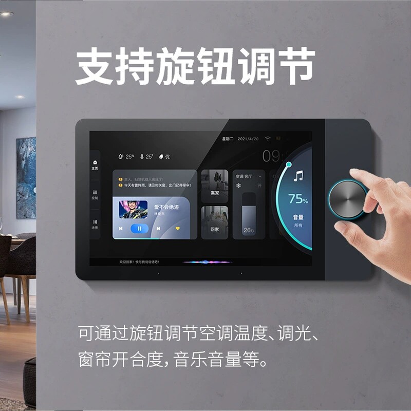 Graffiti Smart Central Control - Zigbee Gateway recensie en prijs