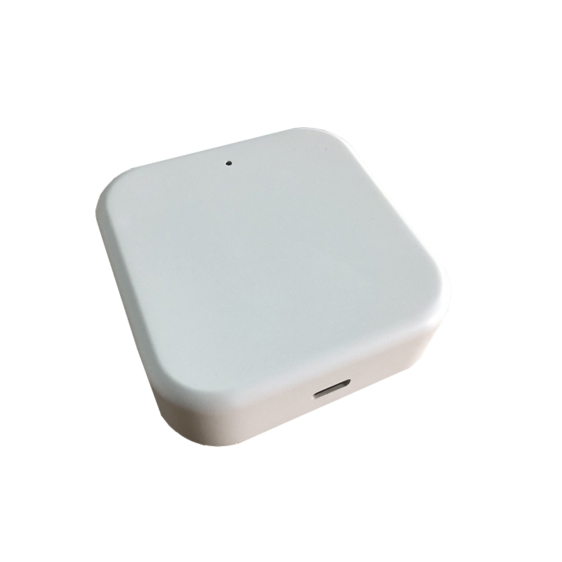 TTLock Smart Gateway G2 WiFi B - Smart Door Lock recensie en prijs