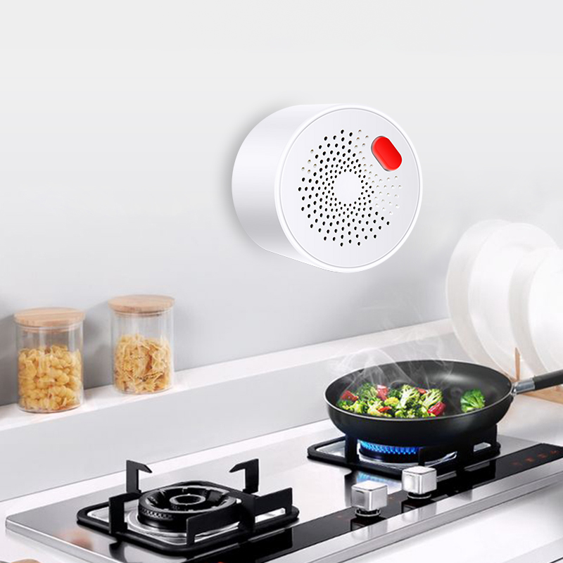 Tuya Smart Home Wifi Aardgas S - Smart Home Wiz recensie en prijs