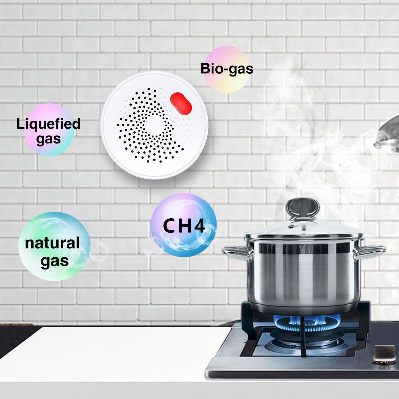 Tuya Smart Home Wifi Aardgas S - Smart Home Wiz recensie en prijs