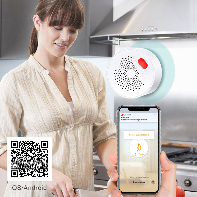 Tuya Smart Home Wifi Aardgas S - Smart Home Wiz recensie en prijs